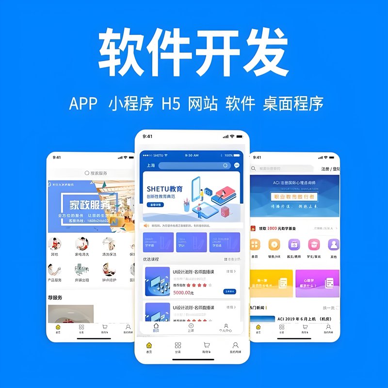 上海软件开发：技术与市场的完美邂逅